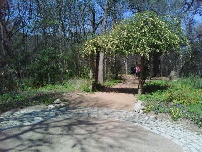 zilker bot gardens overhang2