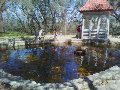 zilker bot gardens steeple2