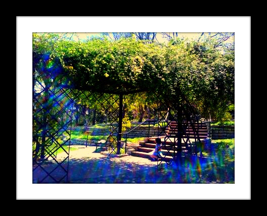 zilker bot gardenslittlegirlframed