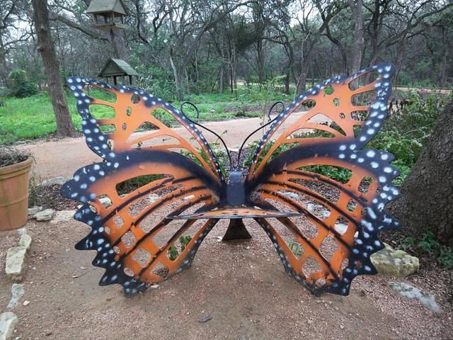 zilkerbutterfly