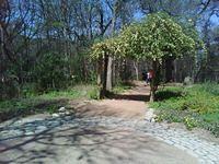 zilker bot gardens overhang2