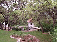 zilker bot gardens steeple3